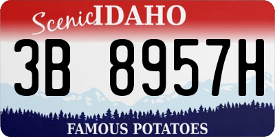 ID license plate 3B8957H
