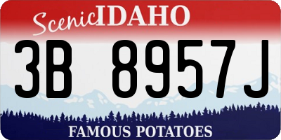 ID license plate 3B8957J