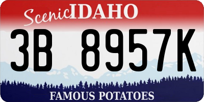 ID license plate 3B8957K