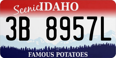 ID license plate 3B8957L