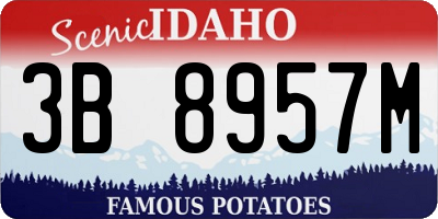 ID license plate 3B8957M