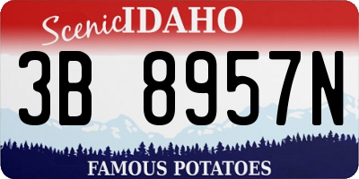 ID license plate 3B8957N