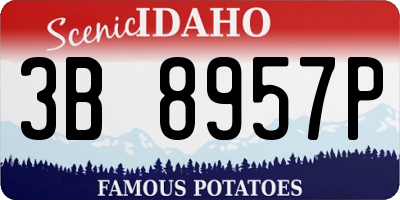ID license plate 3B8957P