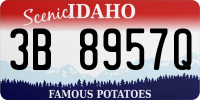 ID license plate 3B8957Q