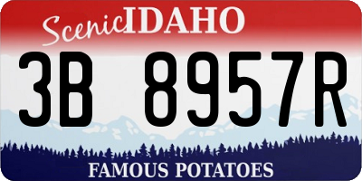 ID license plate 3B8957R