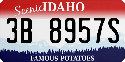 ID license plate 3B8957S