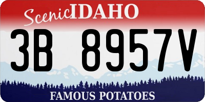 ID license plate 3B8957V