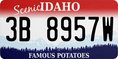 ID license plate 3B8957W
