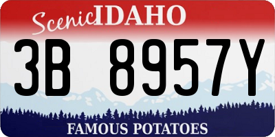 ID license plate 3B8957Y