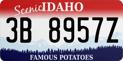ID license plate 3B8957Z