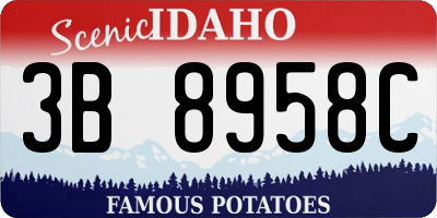 ID license plate 3B8958C