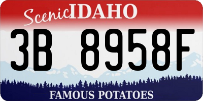 ID license plate 3B8958F