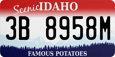 ID license plate 3B8958M