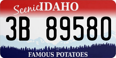 ID license plate 3B8958O