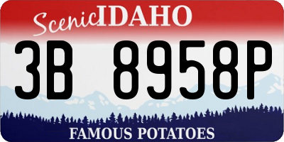 ID license plate 3B8958P