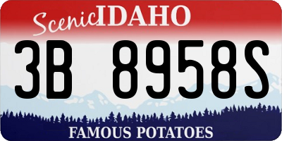 ID license plate 3B8958S