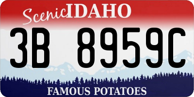ID license plate 3B8959C