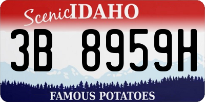 ID license plate 3B8959H