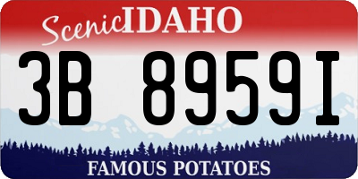 ID license plate 3B8959I