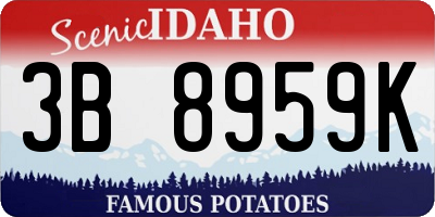 ID license plate 3B8959K