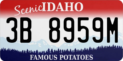 ID license plate 3B8959M
