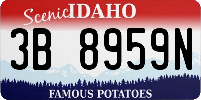 ID license plate 3B8959N
