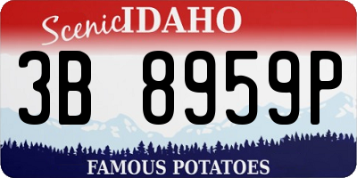 ID license plate 3B8959P
