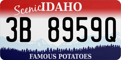 ID license plate 3B8959Q