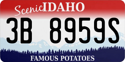 ID license plate 3B8959S