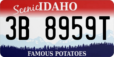 ID license plate 3B8959T