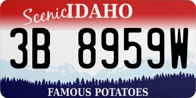 ID license plate 3B8959W
