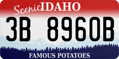 ID license plate 3B8960B