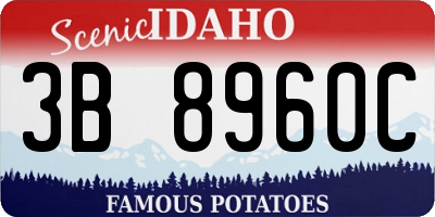 ID license plate 3B8960C