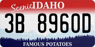 ID license plate 3B8960D
