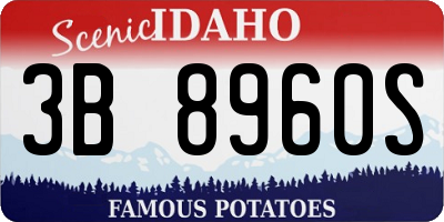 ID license plate 3B8960S
