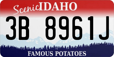ID license plate 3B8961J