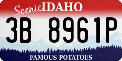 ID license plate 3B8961P