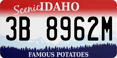 ID license plate 3B8962M