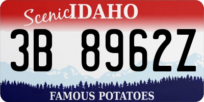 ID license plate 3B8962Z