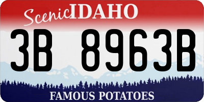 ID license plate 3B8963B