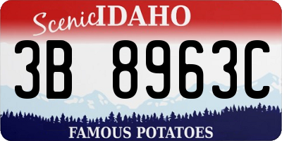 ID license plate 3B8963C