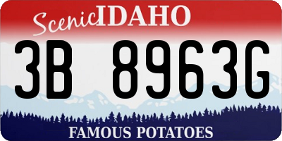 ID license plate 3B8963G