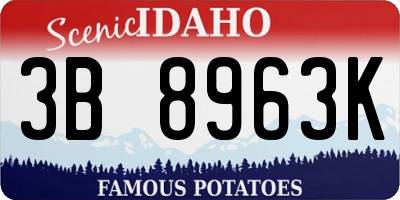 ID license plate 3B8963K