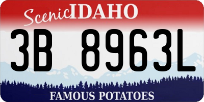ID license plate 3B8963L