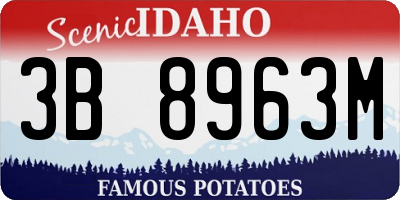 ID license plate 3B8963M