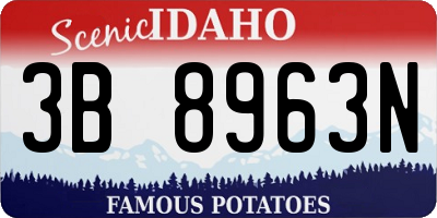 ID license plate 3B8963N