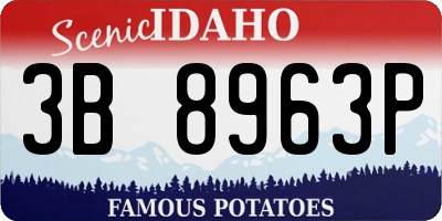 ID license plate 3B8963P