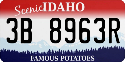 ID license plate 3B8963R