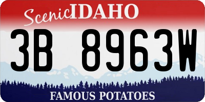 ID license plate 3B8963W