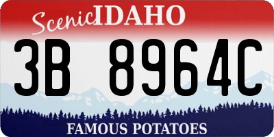 ID license plate 3B8964C